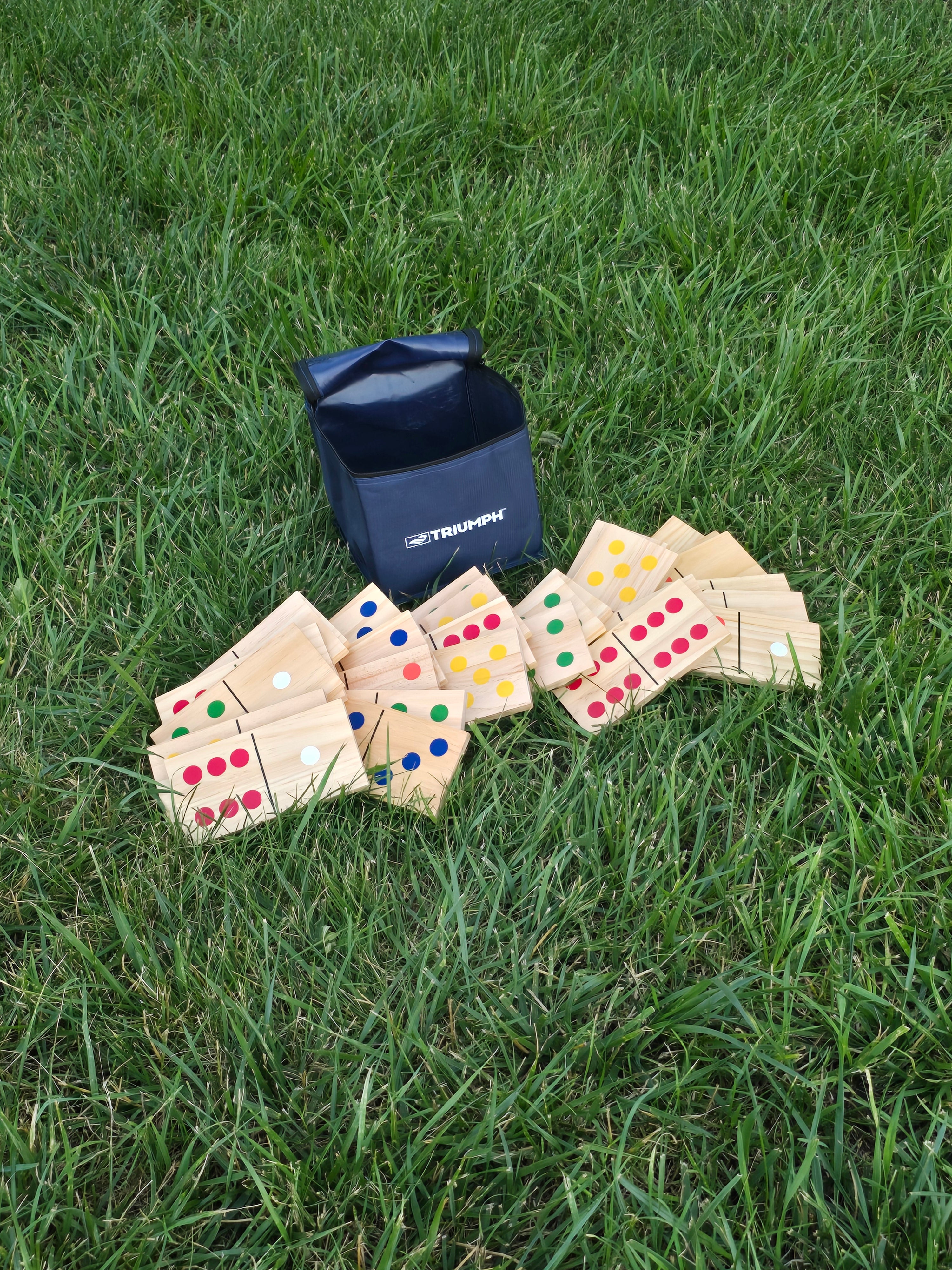 Yard Dominoes Rental
