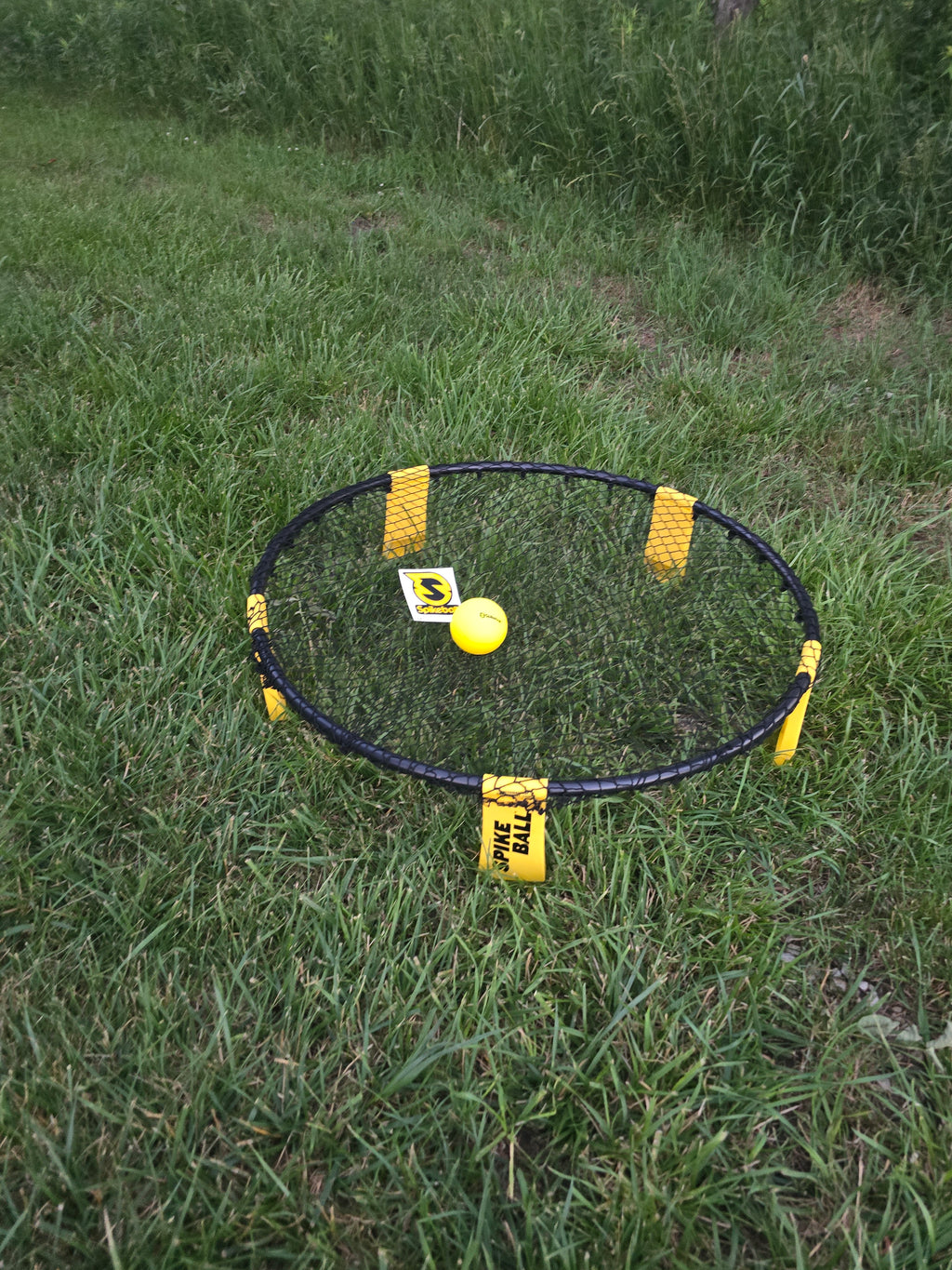 Spikeball Rental