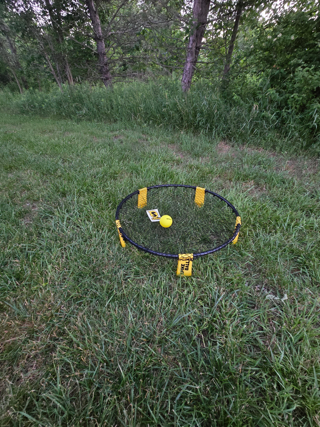 Spikeball Rental