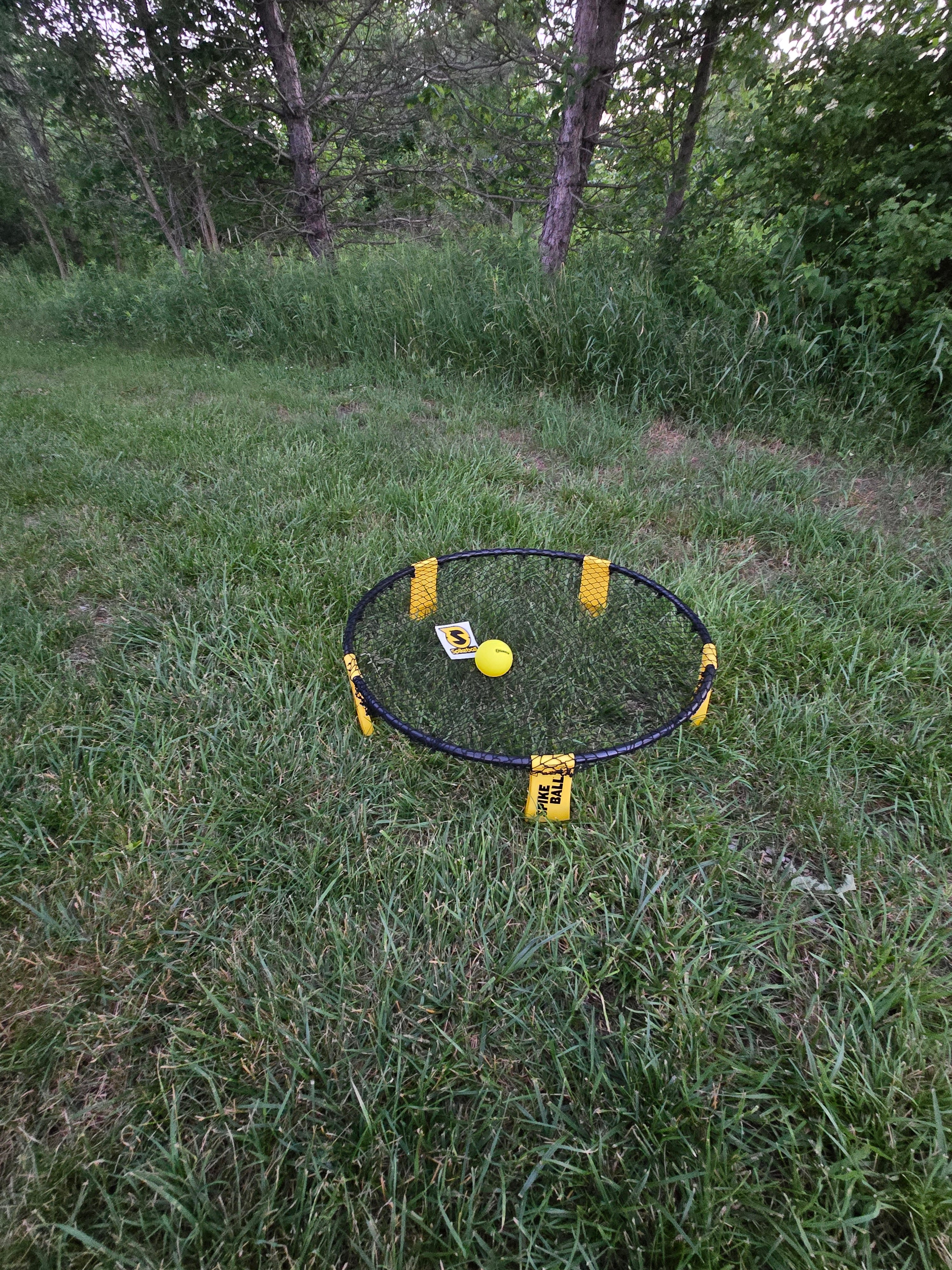 Spikeball Rental